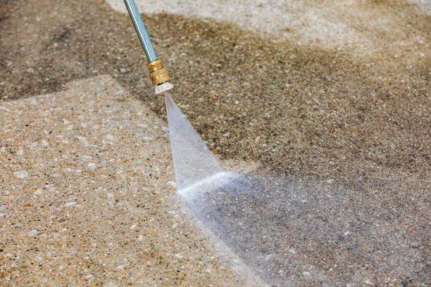 Best Sidewalk and Walkway Cleaning  in Donna, TX